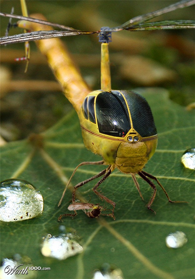 Фотожаба над насекомыми (28 фото)