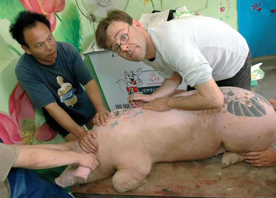 Татуированные свиньи