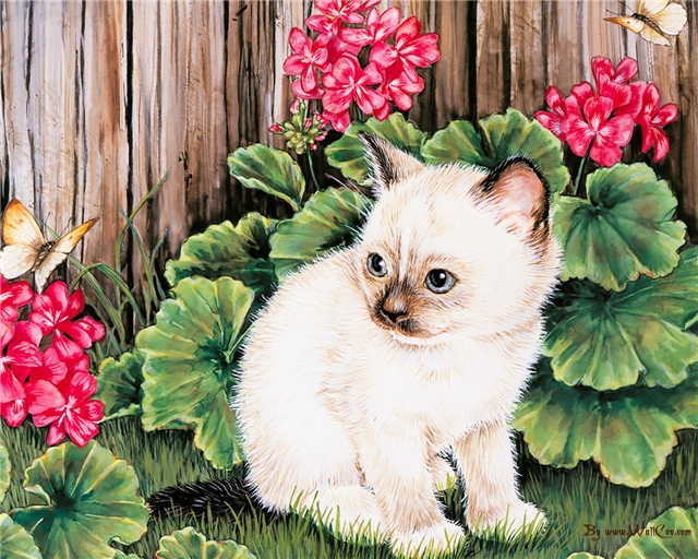 Рисунки с кошками (31 фото)