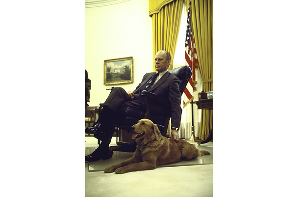 Собаки президентов США (16 фото)