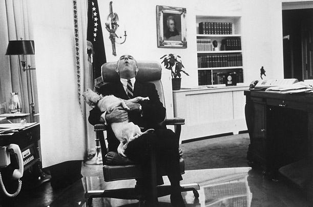 Собаки президентов США (16 фото)