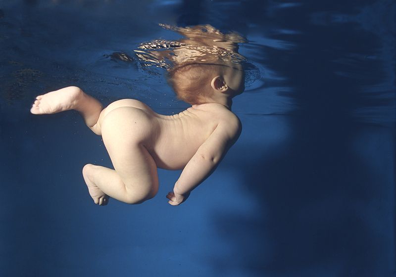 Искусство подводных фотографий в работах Zena Holloway (26 фото)