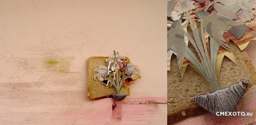 Хлебный тост в роли полотна для художника (17 HQ фото)
