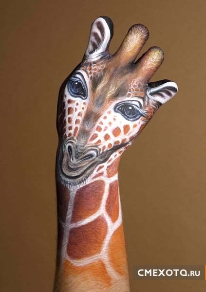 Животные нарисованные на руках (17 фото)