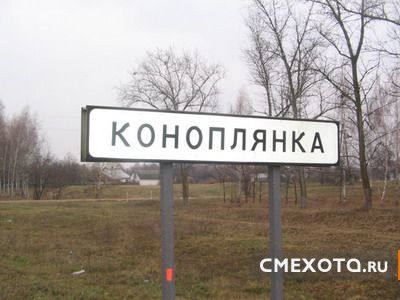 Веселые таблички (31 фото)