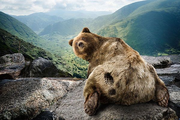 Большая коллекция прикольных картинок (69 фото)