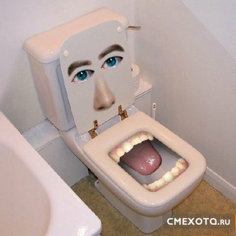 Необычные туалеты (29 фото)
