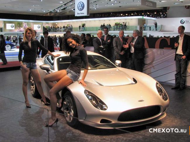 Авто выставка в Женеве International Motor Show 2009  (24 фото)