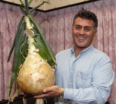Британец вырастил луковицу весом почти в 7 кг