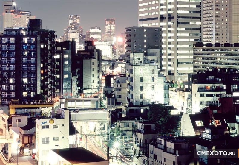 Встречаем рассвет в Токио (13 фото)