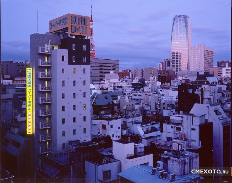 Встречаем рассвет в Токио (13 фото)