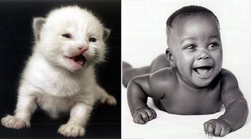 Дети и котята - малыши так похожи (8 фото)