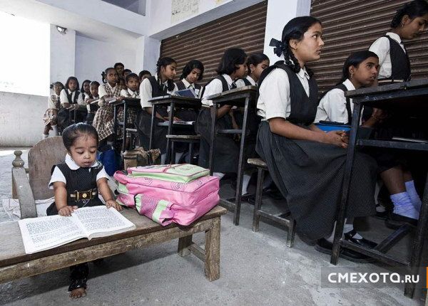 Самая маленькая школьница в мире - Джиоти Амге (Jyoti Amge) (5 фото)
