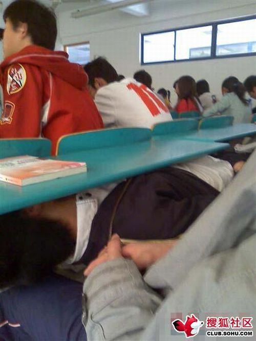 Как выспаться во время лекции (6 фото)