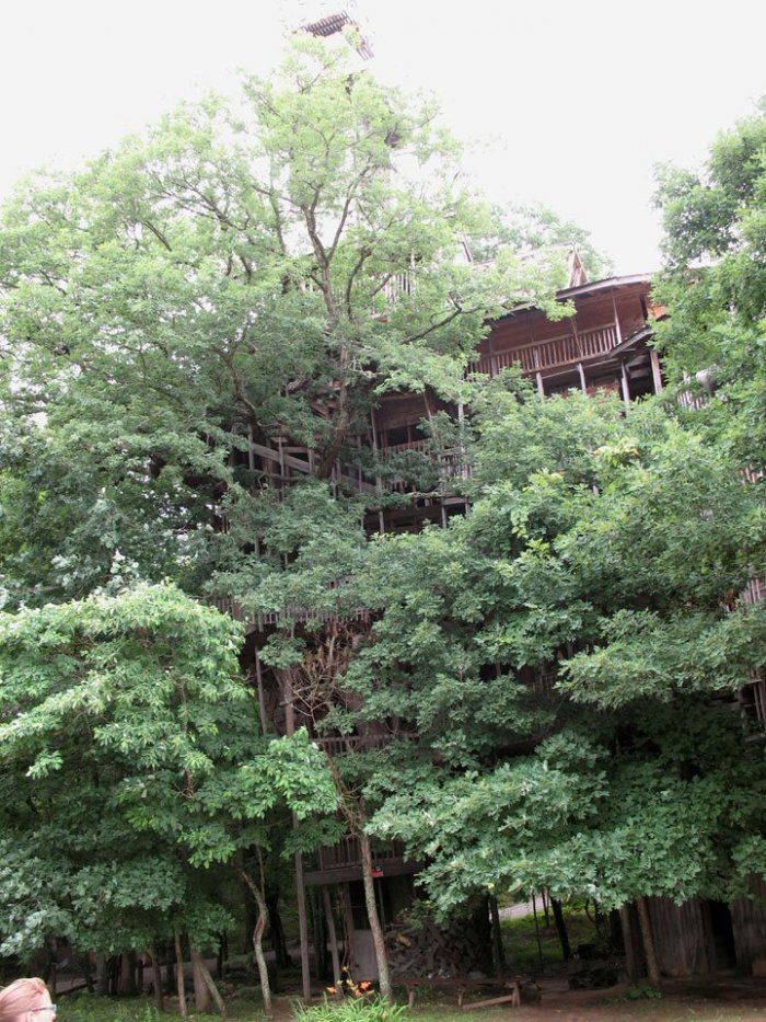 30-метровый дом из дерева - А вам слабо ? (33 фото)
