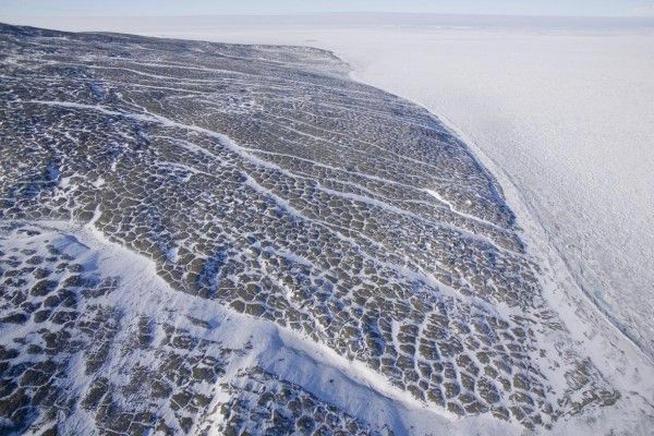 Арктика (33 фото)