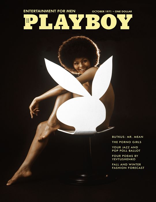 Лучшие обложки Playboy (19 фото)