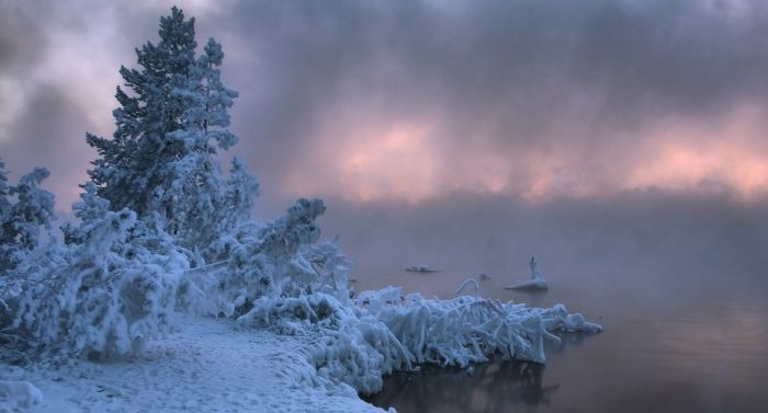 Зимушка зима (30 красивых фото)