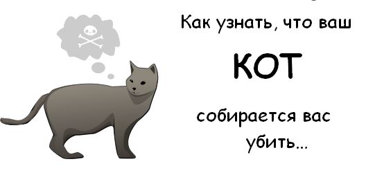 Как узнать что ваш кот собирается вас Убить ? (10 фото)