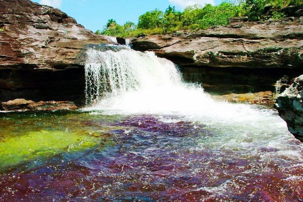 Каньо Кристалес (Cano Cristales – Кристальная река) (40 фото)