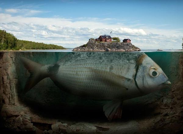 Веселые картинки (75 фоток)