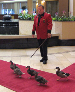 Топ-10 самых странных работ, связаных с туризмом Топ-10 самых странных работ, связаных с туризмом