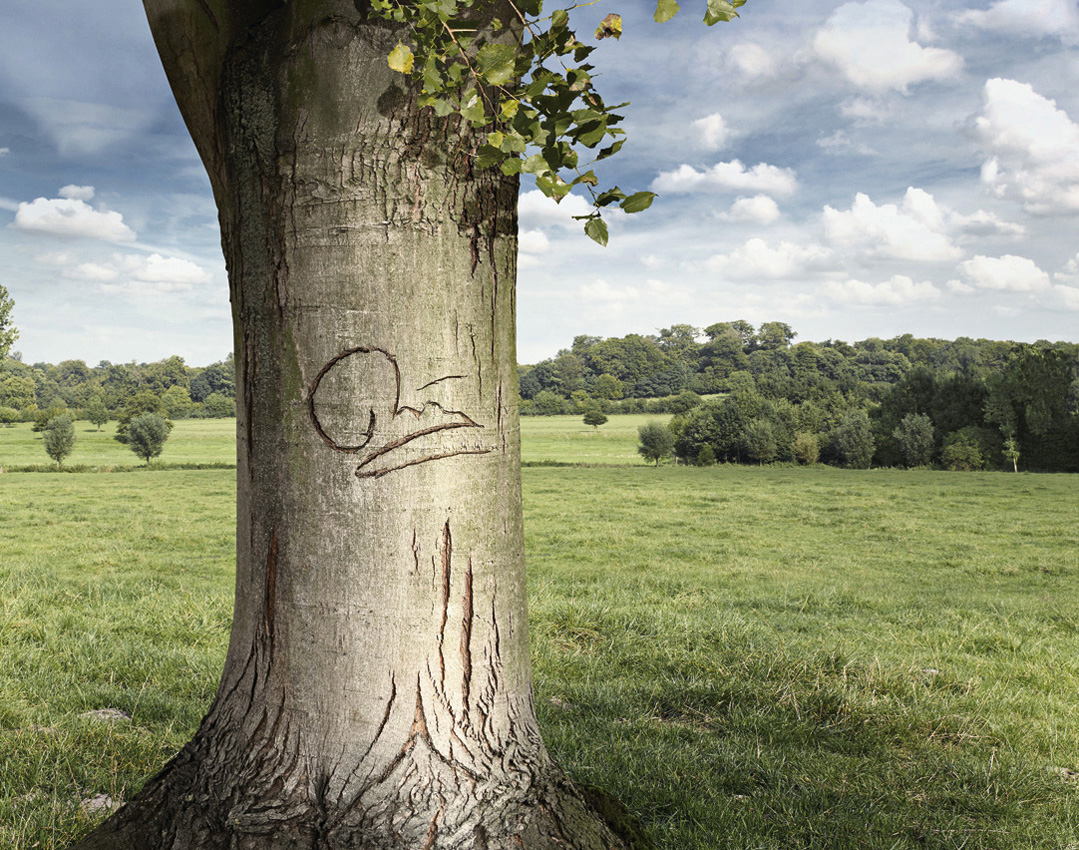 Фотоарт от Jeffrey Vanhoutte (31 фото) Фотоарт от Jeffrey Vanhoutte (31 фото)