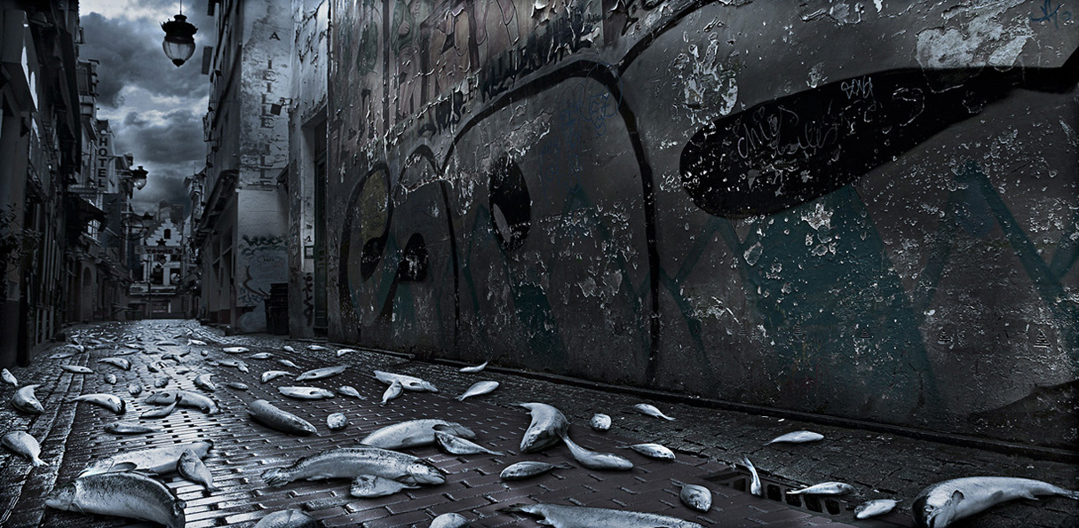 Фотоарт от Jeffrey Vanhoutte (31 фото) Фотоарт от Jeffrey Vanhoutte (31 фото)