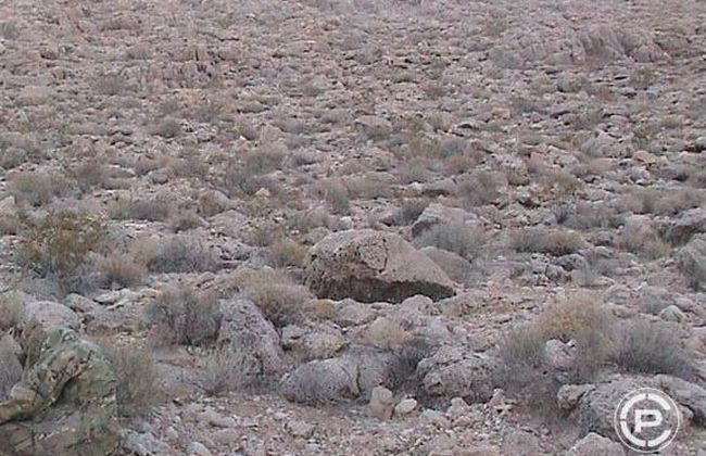 Нешуточная маскировка (18 фото) Нешуточная маскировка (18 фото)