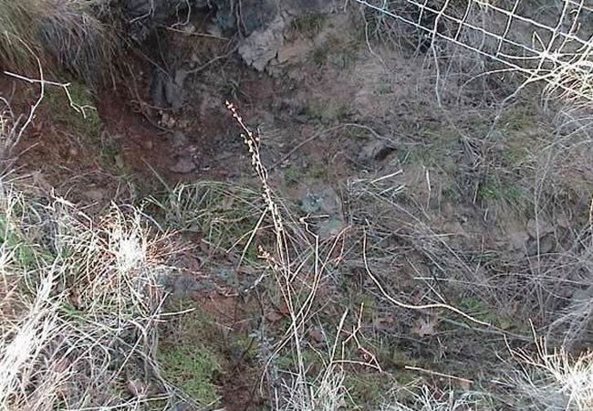 Нешуточная маскировка (18 фото) Нешуточная маскировка (18 фото)