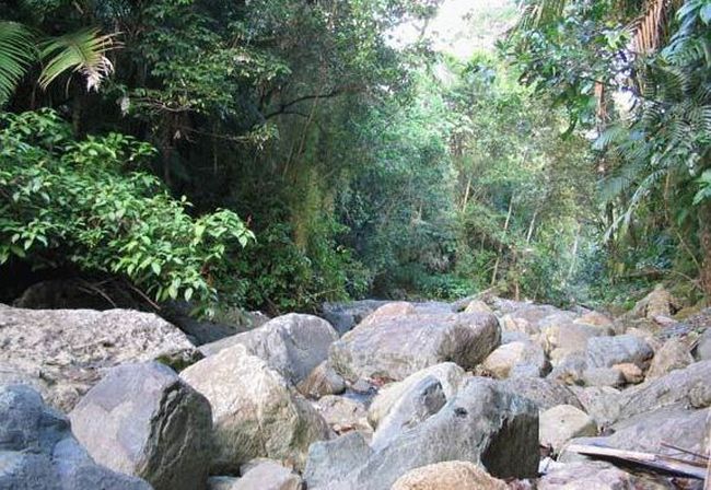 Нешуточная маскировка (18 фото) Нешуточная маскировка (18 фото)