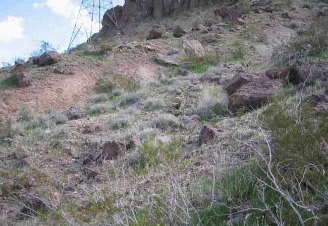 Нешуточная маскировка (18 фото) Нешуточная маскировка (18 фото)