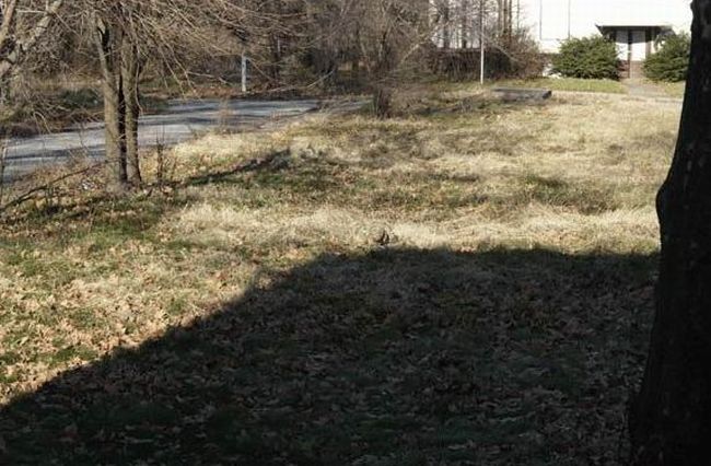 Нешуточная маскировка (18 фото) Нешуточная маскировка (18 фото)