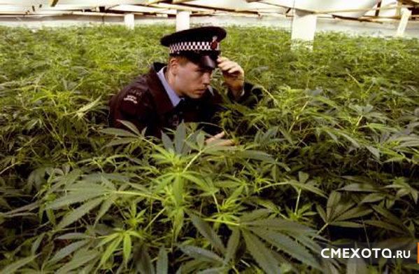 Милиция (38 фото) Милиция (38 фото)