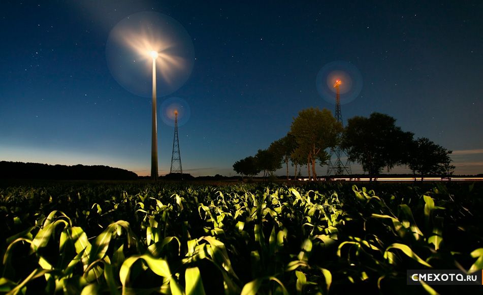 Искусство работы со светом (LAPP) (34 HQ фото) Искусство работы со светом (LAPP) (34 HQ фото)