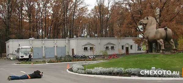 Разрядка для мозгов (33 фото) Разрядка для мозгов (33 фото)