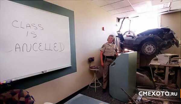 Разрядка для мозгов (33 фото) Разрядка для мозгов (33 фото)