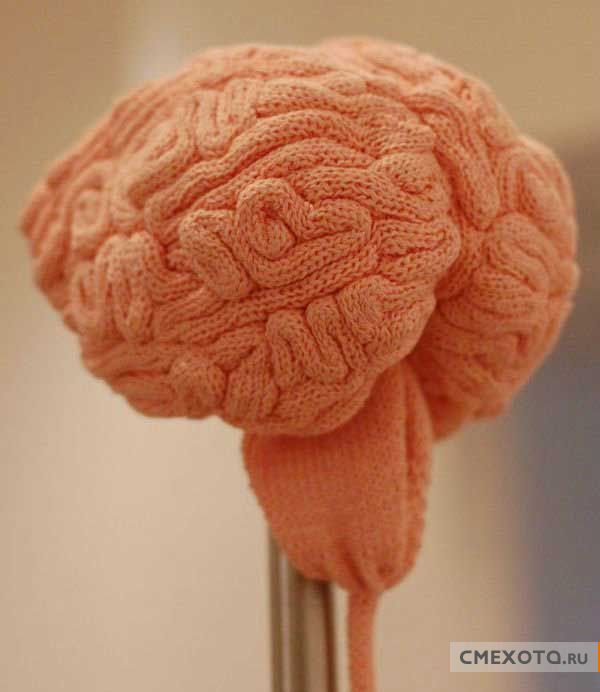 Разрядка для мозгов (33 фото) Разрядка для мозгов (33 фото)