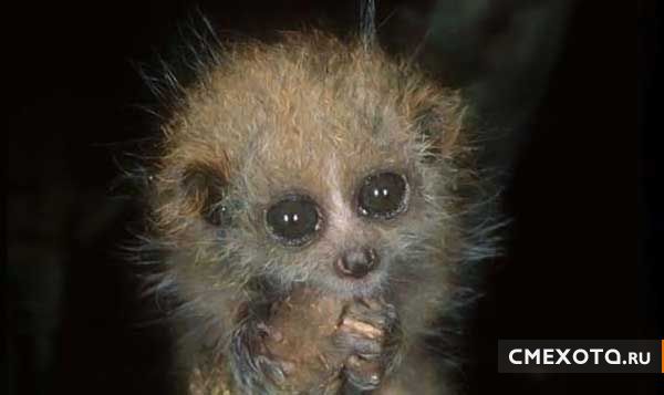 Разрядка для мозгов (33 фото) Разрядка для мозгов (33 фото)