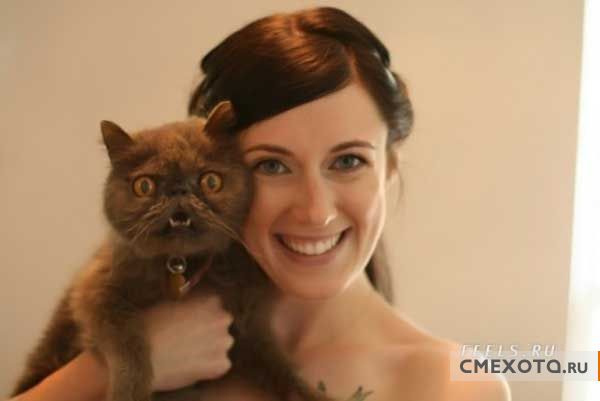 Разрядка для мозгов (33 фото) Разрядка для мозгов (33 фото)