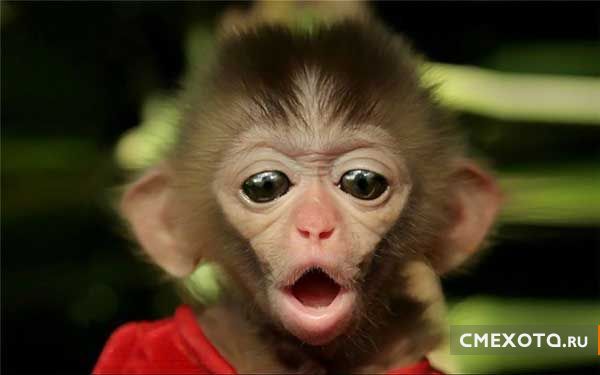 Разрядка для мозгов (33 фото) Разрядка для мозгов (33 фото)