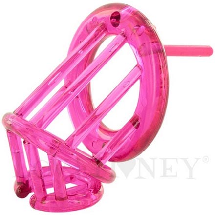 Стебный подарок на Новый Год (12 фото) Стебный подарок на Новый Год (12 фото)