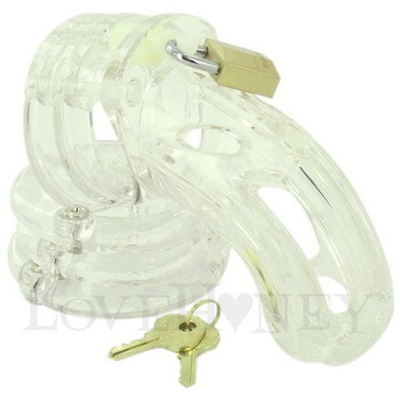 Стебный подарок на Новый Год (12 фото) Стебный подарок на Новый Год (12 фото)