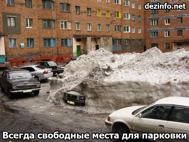 Российские традиции (25 фото) Российские традиции (25 фото)