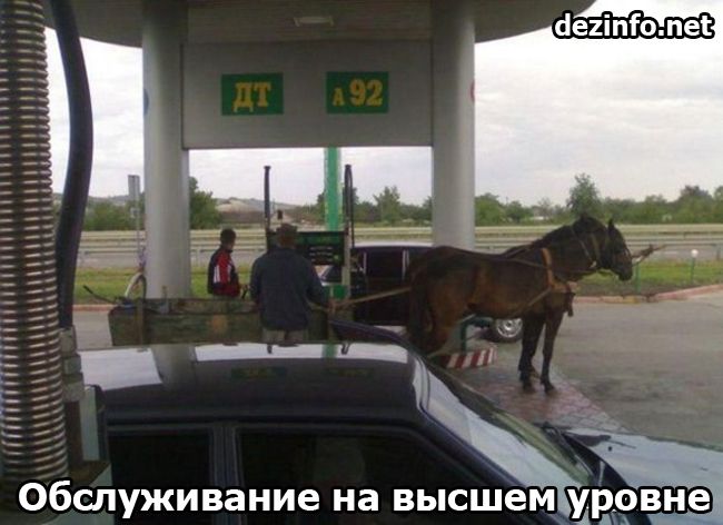 Российские традиции (25 фото) Российские традиции (25 фото)