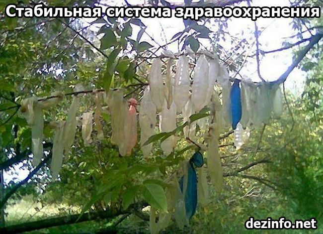 Российские традиции (25 фото) Российские традиции (25 фото)