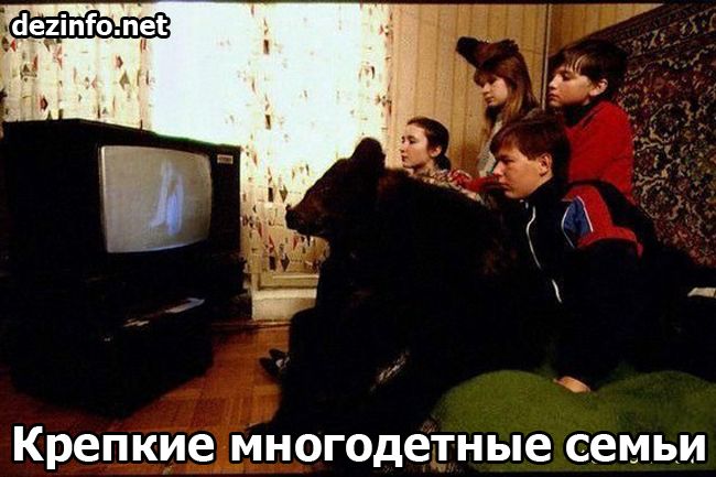 Российские традиции (25 фото) Российские традиции (25 фото)