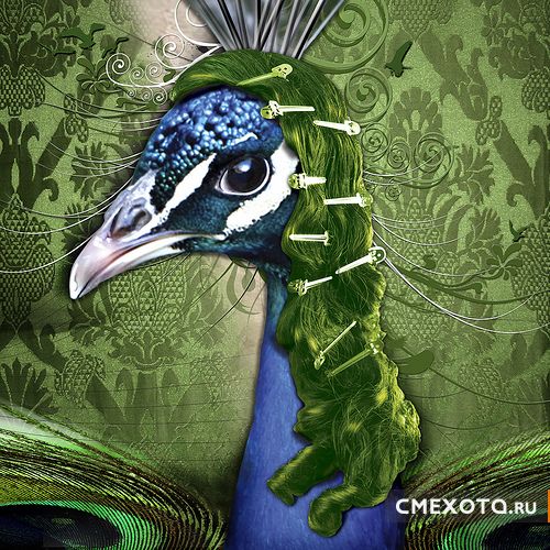 Большая подборка креатива (75 фото) Большая подборка креатива (75 фото)