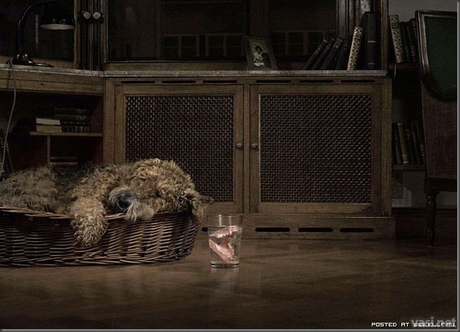 Большая подборка креатива (75 фото) Большая подборка креатива (75 фото)