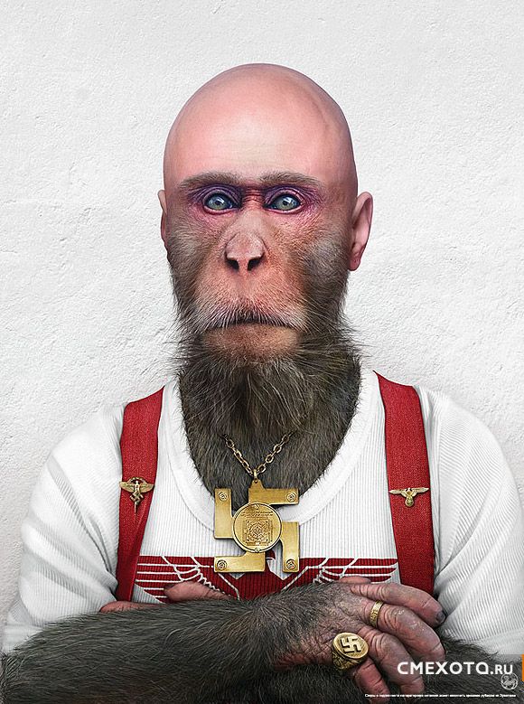 Стильные обезьяны (10 фото) Стильные обезьяны (10 фото)